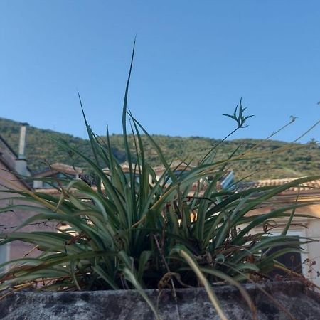 L'Angolo Rosa B&B Piedimonte d'Alife 외부 사진